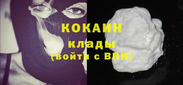 ГАЛЛЮЦИНОГЕННЫЕ ГРИБЫ Новозыбков