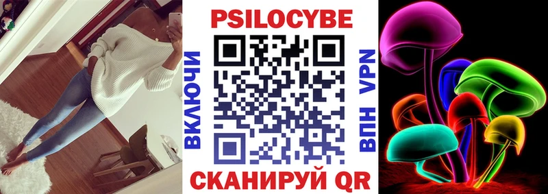 где продают Куйбышев Псилоцибиновые грибы Psilocybine cubensis